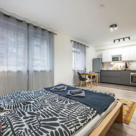 Tol26 Chic In New Building * Budapesta